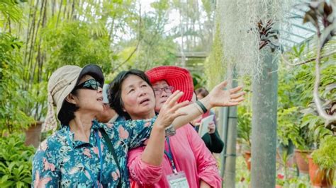 留得枇杷聽鳥鳴|翰林版國語第十二冊 第五課 留得枇杷聽鳥鳴 重點筆記 